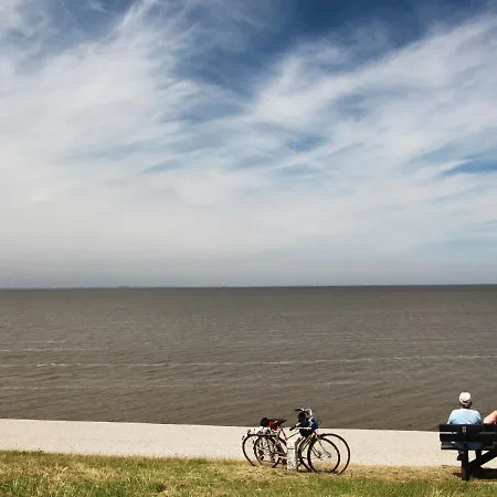 בקתה Comfy Chalet With Micro-wave, Near The Wadden Sea *